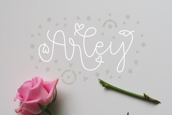 Arley Font for Web Design: A Sweet Touch in Digital Branding