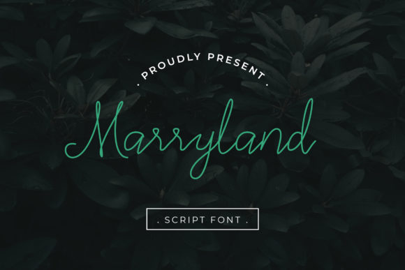 Marryland Font for Modern Web Design
