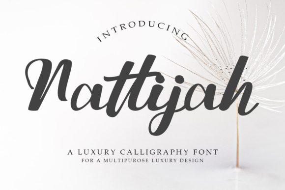 Nattijah Font Review for Branding Projects