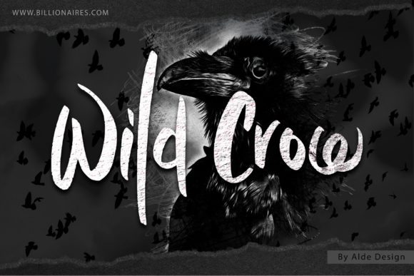 Wild Crow: A Handwritten Font for Modern Web Design